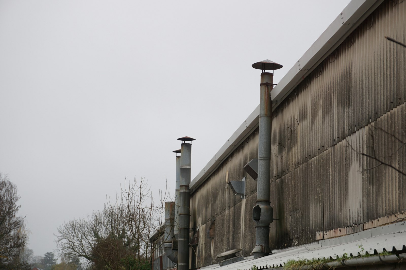 Nave industrial en Bràfim, Alió i Puigpelat